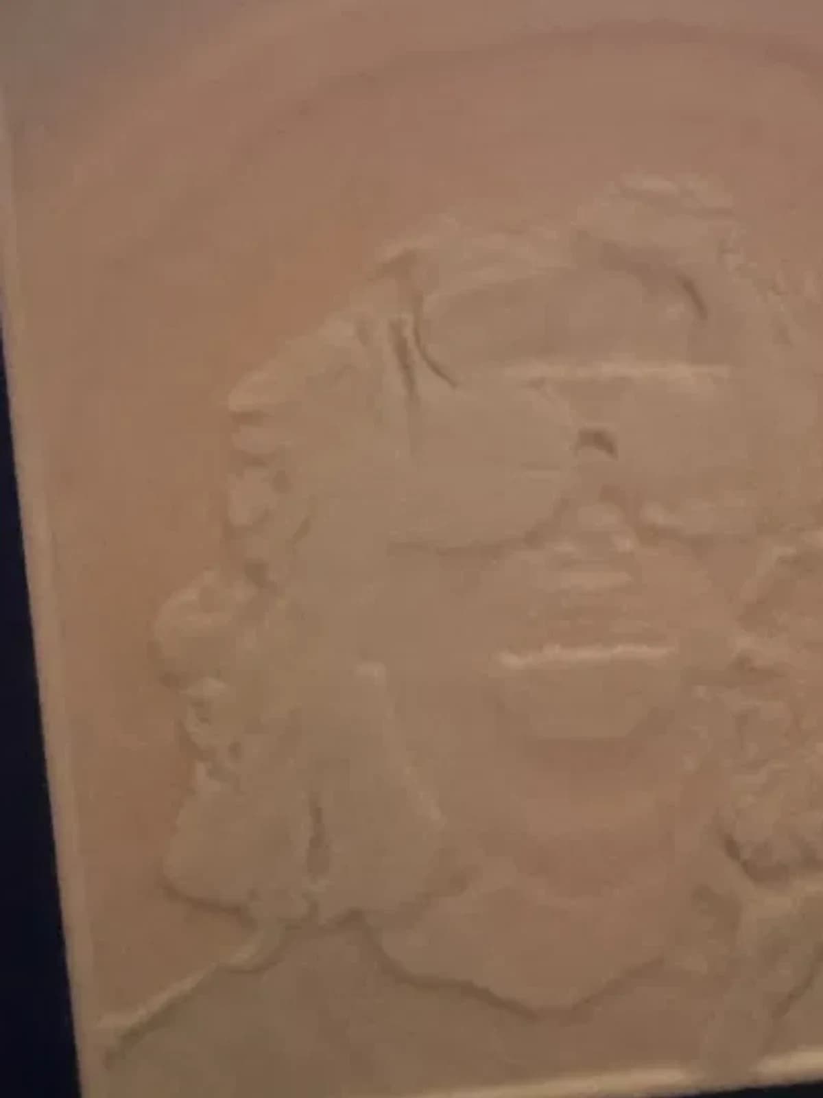 A white relief panel with the light off