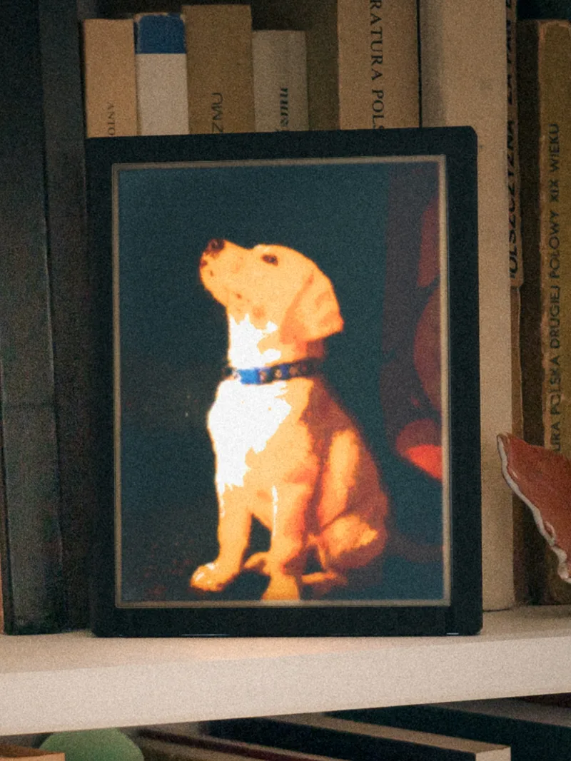 A finished frame, lit: a photograph of a dog.